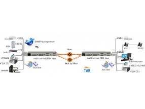 Various type of E1PDH network application